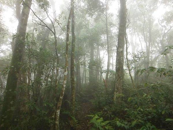 寶藏寺佛祖香燈碑記.內洞林道登大刀山 095