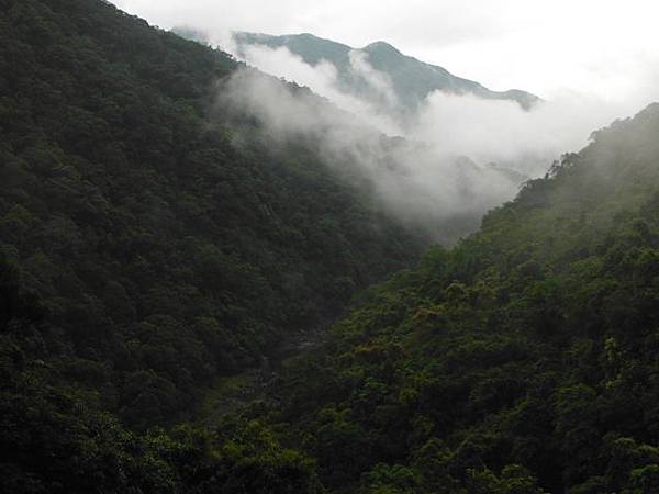 寶藏寺佛祖香燈碑記.內洞林道登大刀山 126