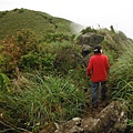 山之家.小觀音山西峰 050