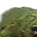 山之家.小觀音山西峰 052