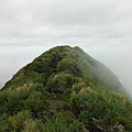 山之家.小觀音山西峰 060