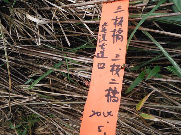 山之家.小觀音山西峰 086