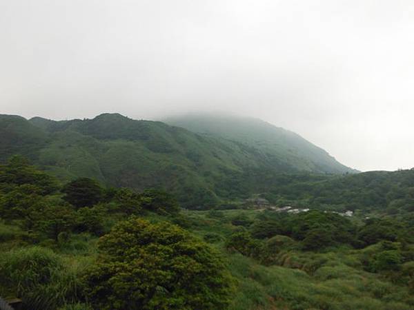 雞心崙.擎天崗.菜公坑山 012