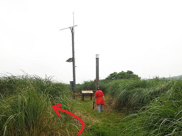 雞心崙.擎天崗.菜公坑山 022