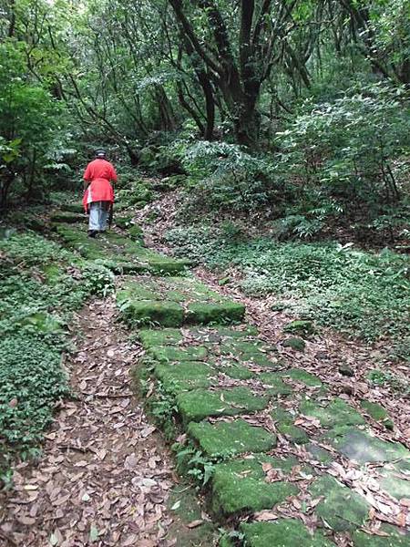 雞心崙.擎天崗.菜公坑山 071