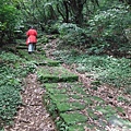 雞心崙.擎天崗.菜公坑山 071