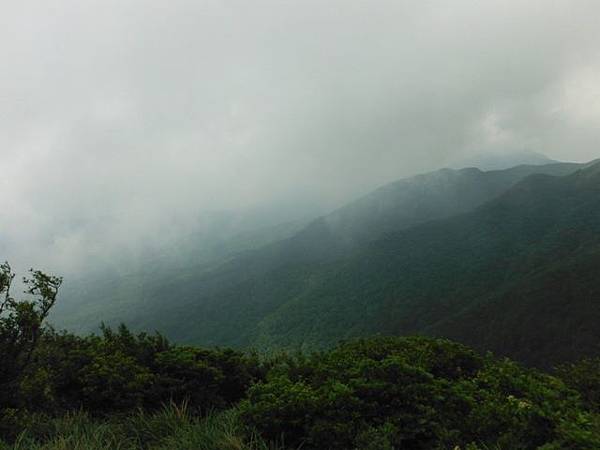 雞心崙.擎天崗.菜公坑山 081