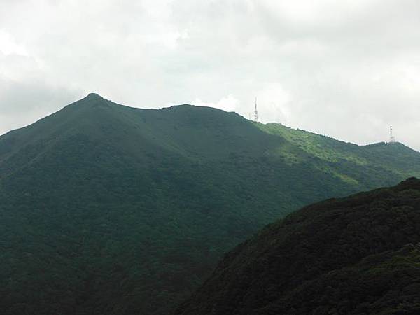 雞心崙.擎天崗.菜公坑山 104