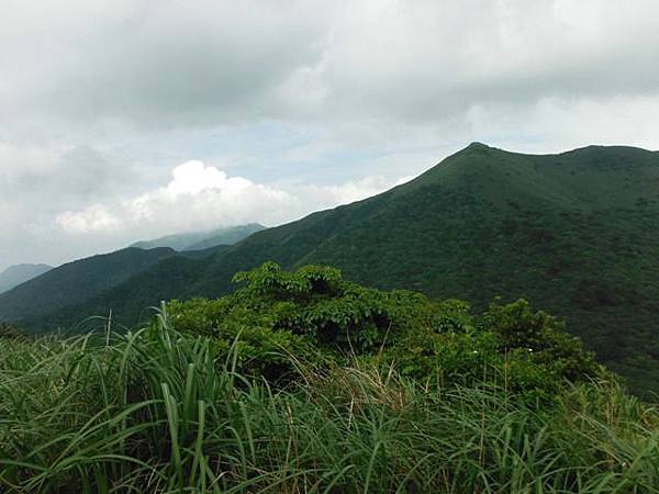 雞心崙.擎天崗.菜公坑山 110