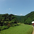 草嶺古道.519基石.鑛務課440基石.桃源谷.草嶺山.灣坑頭山.蕃薯寮山 038