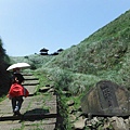 草嶺古道.519基石.鑛務課440基石.桃源谷.草嶺山.灣坑頭山.蕃薯寮山 076