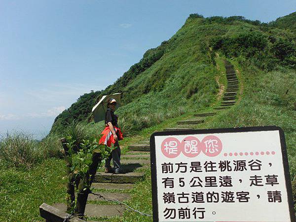 草嶺古道.519基石.鑛務課440基石.桃源谷.草嶺山.灣坑頭山.蕃薯寮山 086