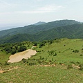 草嶺古道.519基石.鑛務課440基石.桃源谷.草嶺山.灣坑頭山.蕃薯寮山 095