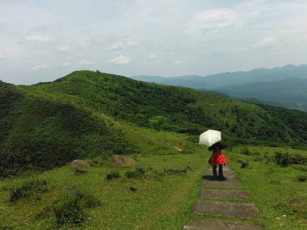 草嶺古道.519基石.鑛務課440基石.桃源谷.草嶺山.灣坑頭山.蕃薯寮山 108