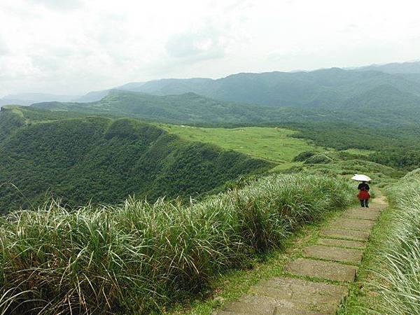 草嶺古道.519基石.鑛務課440基石.桃源谷.草嶺山.灣坑頭山.蕃薯寮山 154