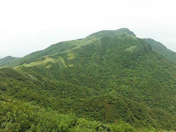 草嶺古道.519基石.鑛務課440基石.桃源谷.草嶺山.灣坑頭山.蕃薯寮山 170