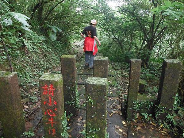 草嶺古道.519基石.鑛務課440基石.桃源谷.草嶺山.灣坑頭山.蕃薯寮山 210