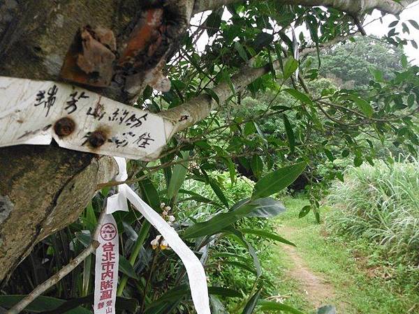 鹿仔寮山.深澳湖.深澳山.秀琦山.瑞芳山.龍潭山.瑞芳忠魂碑 152