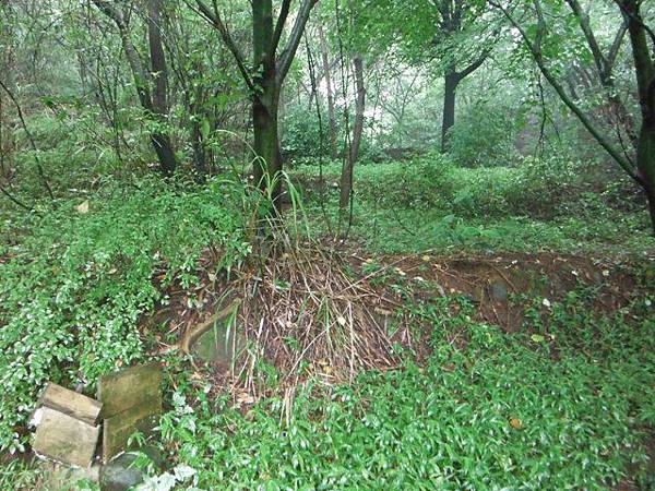 守硫營遺址.魚路古道.小觀音山主峰基石 018.JPG