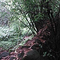 守硫營遺址.魚路古道.小觀音山主峰基石 041.JPG