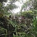 守硫營遺址.魚路古道.小觀音山主峰基石 042.JPG
