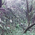 守硫營遺址.魚路古道.小觀音山主峰基石 044.JPG