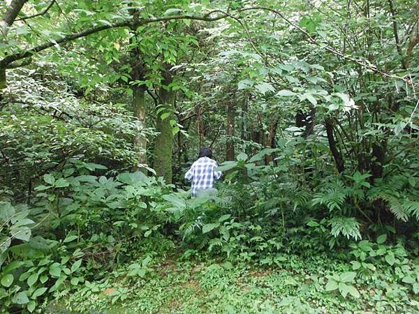 司公碗帽山.千階嶺 072.JPG