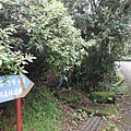 司公碗帽山.千階嶺 107.JPG