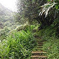 汐止水道步設記.白雲古道.白雲登山步道 023.JPG