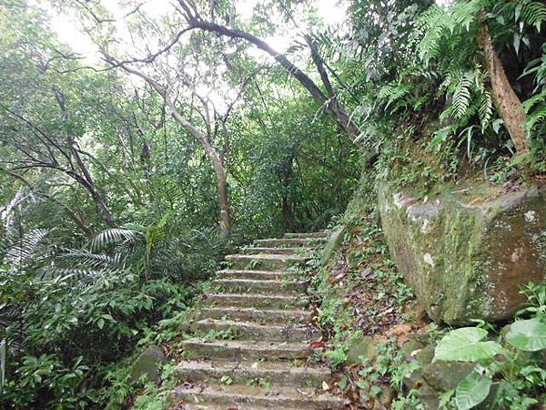 汐止水道步設記.白雲古道.白雲登山步道 025.JPG