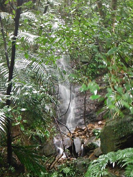 汐止水道步設記.白雲古道.白雲登山步道 028.JPG