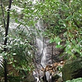 汐止水道步設記.白雲古道.白雲登山步道 028.JPG