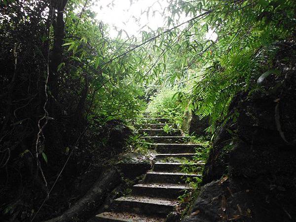 汐止水道步設記.白雲古道.白雲登山步道 031.JPG