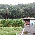 汐止水道步設記.白雲古道.白雲登山步道 041.JPG