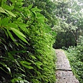 汐止水道步設記.白雲古道.白雲登山步道 053.JPG