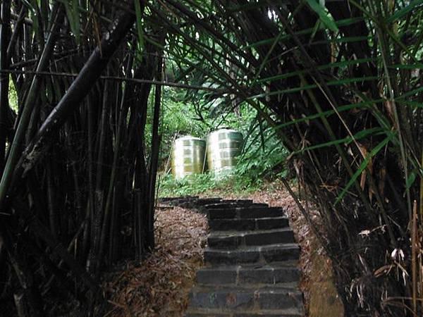 汐止水道步設記.白雲古道.白雲登山步道 065.JPG