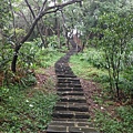 汐止水道步設記.白雲古道.白雲登山步道 067.JPG