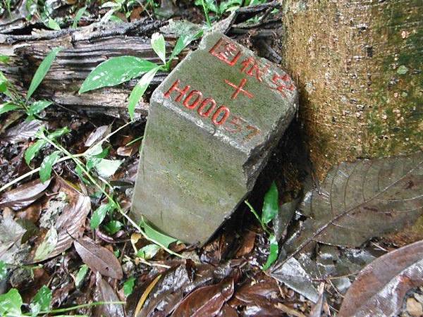 汐止水道步設記.白雲古道.白雲登山步道 071.JPG