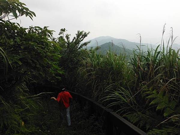 大舌湖山.獅公髻尾山.獵狸尖.粗坑口健行步道.虎寮潭景觀台 146