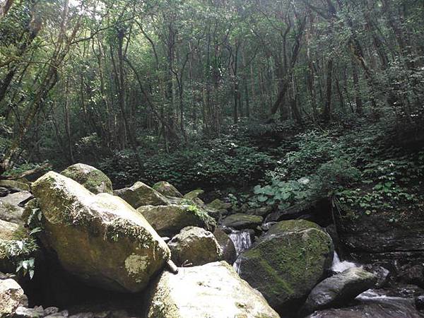 組合山.雲森瀑布.阿涵 085