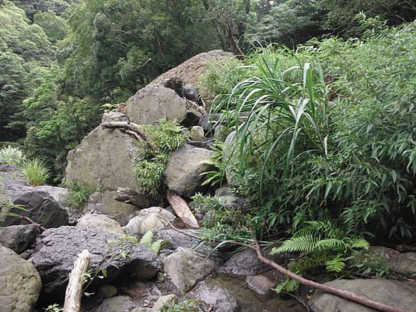 雲森瀑布.姐妹瀑布 121