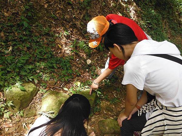 炮子崙古道.炮子崙瀑布.阿芳芋圓.萬吉臭豆腐.深坑橋碑 025
