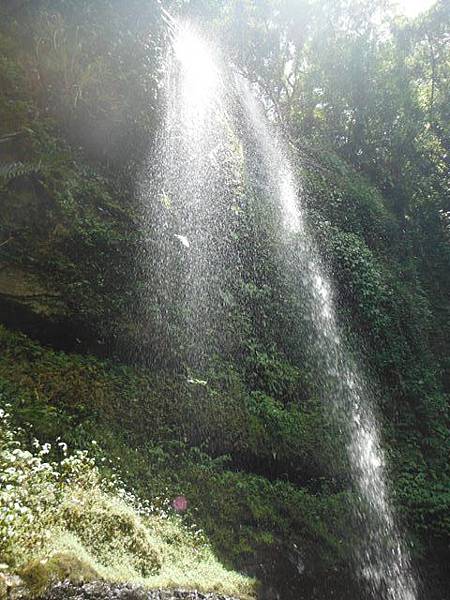 炮子崙古道.炮子崙瀑布.阿芳芋圓.萬吉臭豆腐.深坑橋碑 046