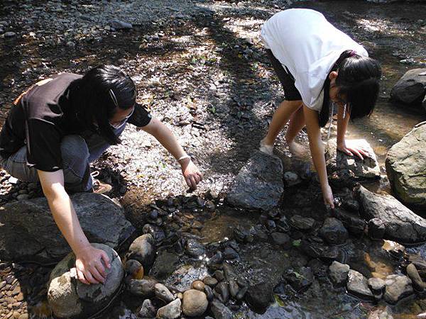雲森瀑布全家福 108