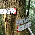 逐鹿山.逐鹿山西峰下雲森瀑布 033.JPG