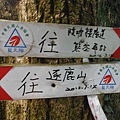 逐鹿山.逐鹿山西峰下雲森瀑布 035.JPG