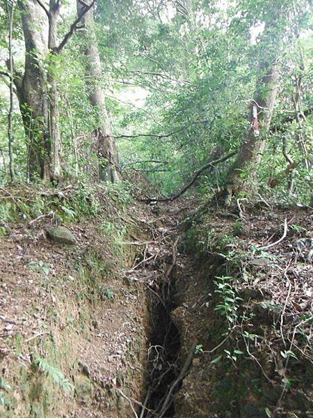 逐鹿山.逐鹿山西峰下雲森瀑布 036.JPG
