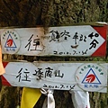 逐鹿山.逐鹿山西峰下雲森瀑布 039.JPG