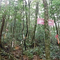 逐鹿山.逐鹿山西峰下雲森瀑布 078.JPG