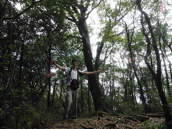 逐鹿山.逐鹿山西峰下雲森瀑布 106